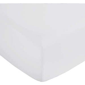 Světle šedé napínací prostěradlo z bavlněného saténu 150x200 cm Cotton Sateen – Bianca obraz