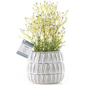 Umělá rostlina (výška 27 cm) Babi – Restilo obraz