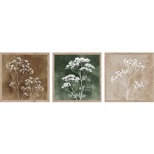 Obrazy v sadě 3 ks 30x30 cm Floral Imprint – Styler obraz