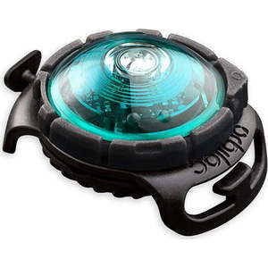 LED světlo na obojek Turquoise – Orbiloc obraz