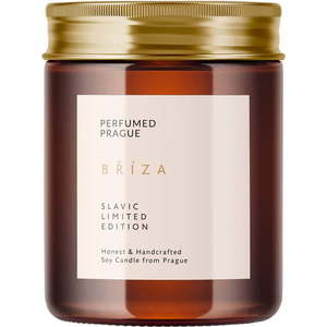 Vonná sojová svíčka doba hoření 40 h Slavic Edition: #01 Birch – Perfumed Prague obraz
