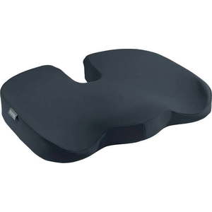Ergonomický polštář 45, 5x35, 5 cm Ergo Cosy – Leitz obraz