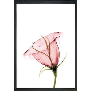 Obraz 24x29 cm Misty Bloom – Vavien Artwork obraz
