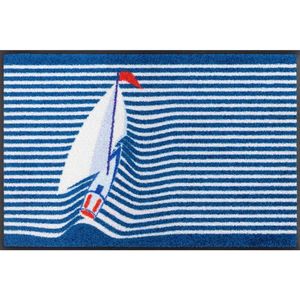 wash+dry DVEŘNÍ ROHOŽKA, 50/75 cm, modrá obraz