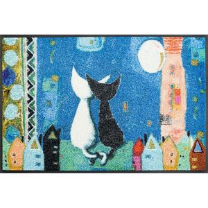 Esposa DVEŘNÍ ROHOŽKA, 50/75 cm, vícebarevná obraz