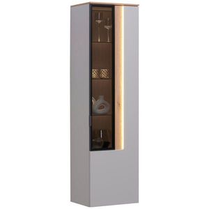 Dieter Knoll ZÁVĚSNÁ VITRÍNA, barvy dubu, světle šedá, 45, 4/164, 6/36 cm obraz