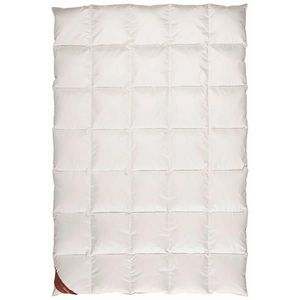 Centa-Star ZIMNÍ PŘIKRÝVKA, 135/200 cm, prachové peří obraz