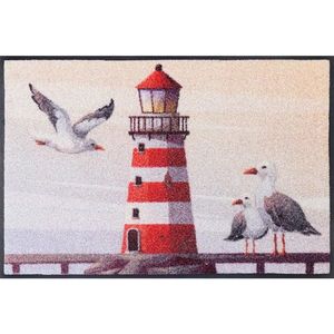 wash+dry DVEŘNÍ ROHOŽKA, 50/75 cm, béžová obraz