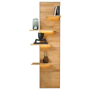 Linea Natura NÁSTĚNNÝ PANEL, černá, divoký dub obraz