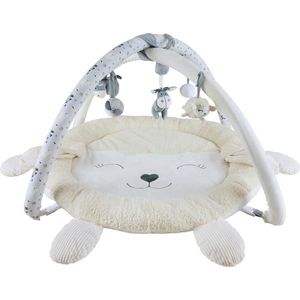 Patinio OBLOUK S HRAČKAMI obraz