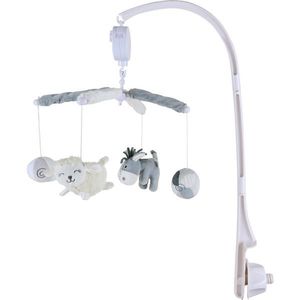 Patinio KOLOTOČ obraz