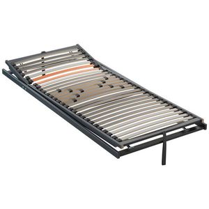 Dieter Knoll ROŠT, (pro rám) 100/200 cm obraz