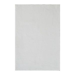KOBEREC S VYSOKÝM VLASEM, 70/130 cm, bílá obraz