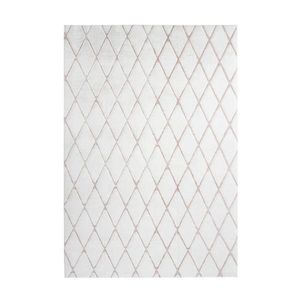 KOBEREC S VYSOKÝM VLASEM, 160/230 cm, bílá obraz