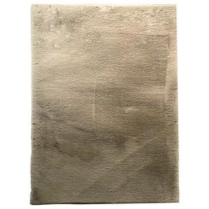 KOBEREC S VYSOKÝM VLASEM, 70/130 cm, šedohnědá obraz