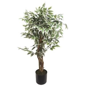 Ambia Home UMĚLÁ ROSTLINA 110 cm obraz