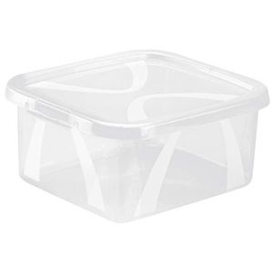 Rotho BOX S VÍKEM 2 l obraz