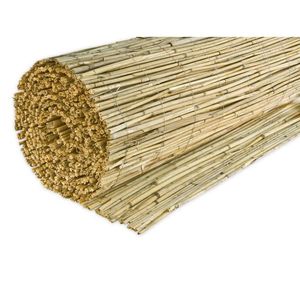 CLONA NA PLOT 600/160 cm obraz