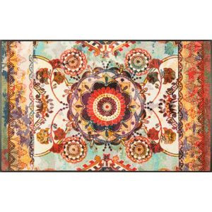 BĚHOUN, 75/120 cm, vícebarevná obraz