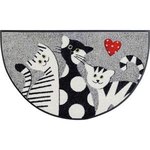 Esposa DVEŘNÍ ROHOŽKA, 50/85 cm, vícebarevná obraz