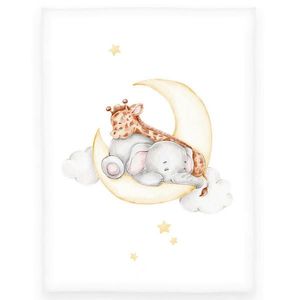 HEBKÁ DEKA, 75/100 cm obraz