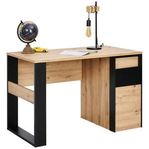 Voleo PSACÍ STŮL obraz