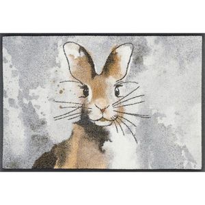 Esposa DVEŘNÍ ROHOŽKA, 50/75 cm obraz