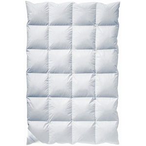 Billerbeck PÉŘOVÁ PŘIKRÝVKA, 135/200 cm, prachové peří, peří obraz