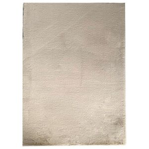 KOBEREC S VYSOKÝM VLASEM, 70/130 cm, béžová obraz