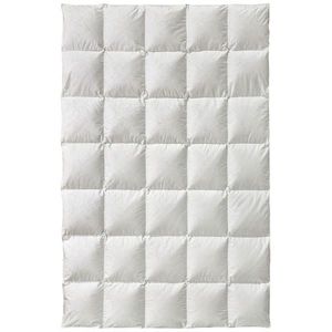 Billerbeck CELOROČNÍ PŘIKRÝVKA, 135-140/200 cm, prachové peří obraz