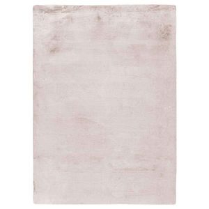 KOBEREC S VYSOKÝM VLASEM, 120/170 cm, krémová, bílá obraz