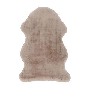 UMĚLÁ KOŽEŠINA, 60/90 cm, obraz