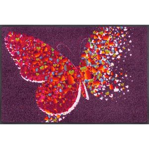 Esposa DVEŘNÍ ROHOŽKA obraz