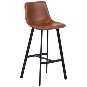 BAROVÁ ŽIDLE, koňaková obraz