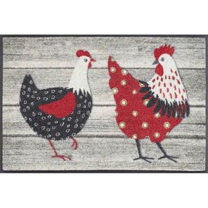 wash+dry DVEŘNÍ ROHOŽKA, 40/60 cm obraz