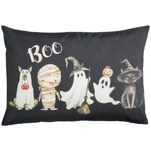 Novel POTAH NA POLŠTÁŘ 40/60 cm obraz