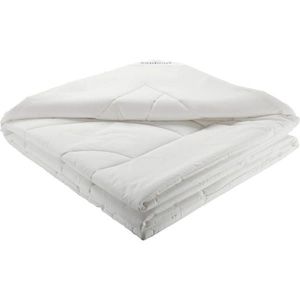 Sleeptex CELOROČNÍ PŘIKRÝVKA, 140/200 cm, polyester, rouno, duté vlákno obraz