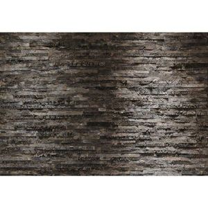 FOTOTAPETA velikost: 368/254 cm obraz