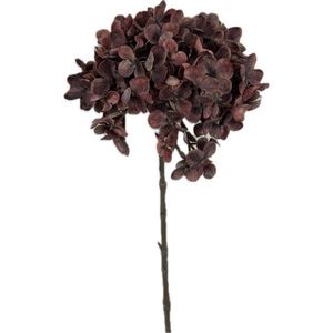 DEKORAČNÍ KYTICE obraz