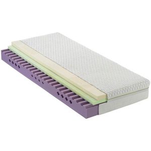 Dieter Knoll MATRACE Z GELOVÉ PĚNY, 90/200 cm obraz