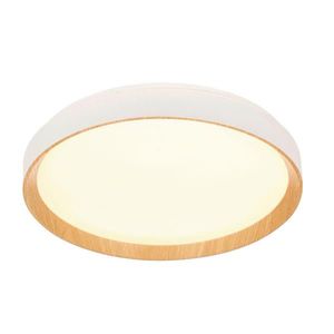 Novel STROPNÍ LED SVÍTIDLO, 48/8 cm obraz