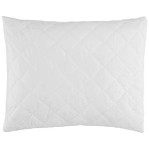 Sleeptex POLŠTÁŘ, 70/90 cm obraz