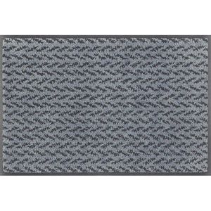 wash+dry DVEŘNÍ ROHOŽKA, 40/60 cm, antracitová, modrošedá obraz
