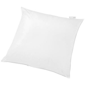 Centa-Star POLŠTÁŘ POD HLAVU, 80/80 cm obraz