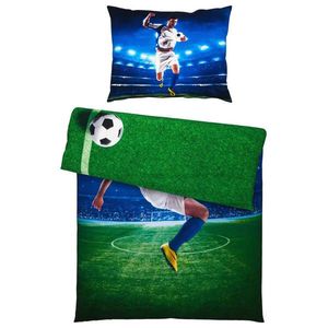 POVLEČENÍ PRO MLÁDEŽ, renforcé, vícebarevná, 140/200 cm obraz