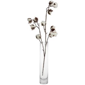 Leonardo VÁZA, sklo, 30 cm obraz