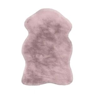 KOBEREC S VYSOKÝM VLASEM, 60/90 cm, růžová obraz