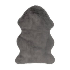 UMĚLÁ KOŽEŠINA, 60/90 cm, obraz