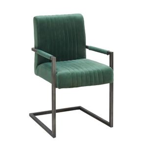 Ambia Home ŽIDLE S PODRUČKAMI, železo, samet, zelená, černá obraz