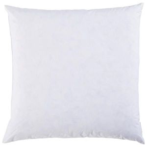 Sleeptex VÝPLŇ POLŠTÁŘE 60/60 cm obraz